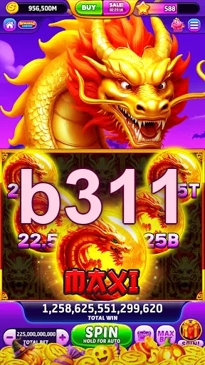 b311 Login